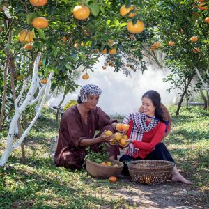 pexels-van-long-bui-1496562-4417496